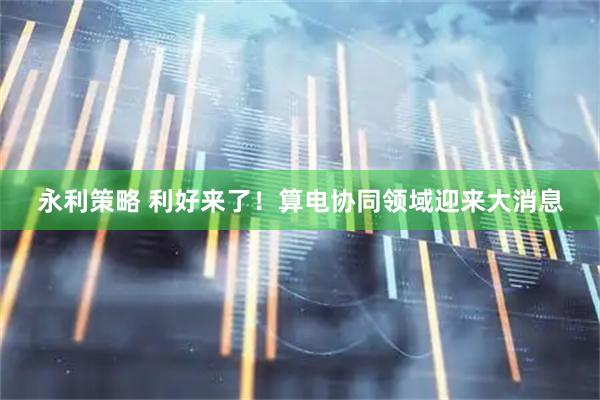 永利策略 利好来了！算电协同领域迎来大消息